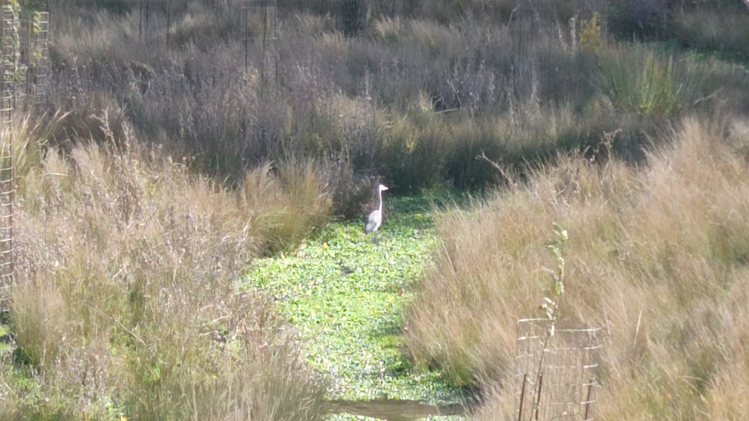 Nacimiento del Río Segura